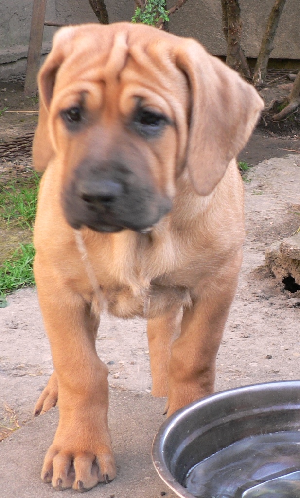 foto7.jpg
