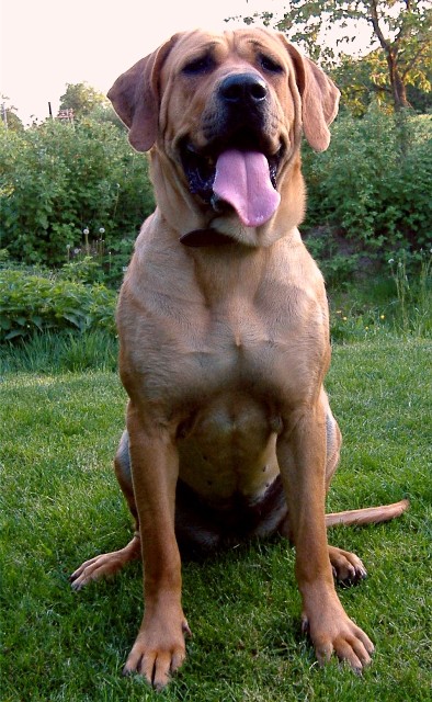 foto3.jpg